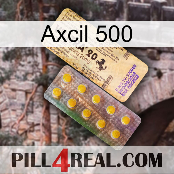 Axcil 500 new06